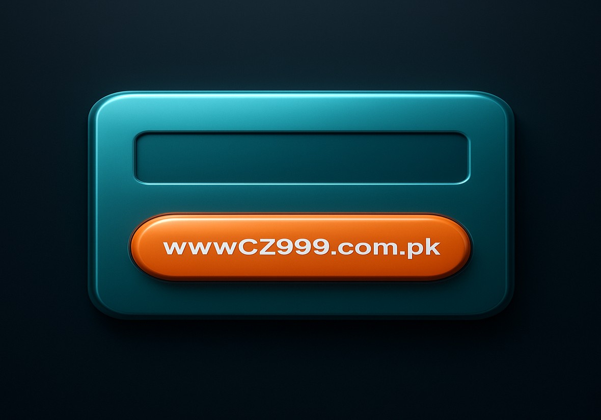 CZ999 login page